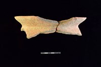 藏品(陶罐)的圖片